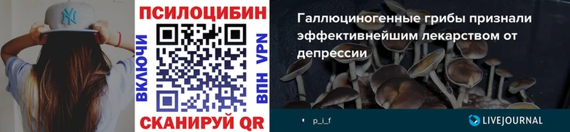 Галлюциногенные грибы MAGIC MUSHROOMS  кракен рабочий сайт  Сорочинск 