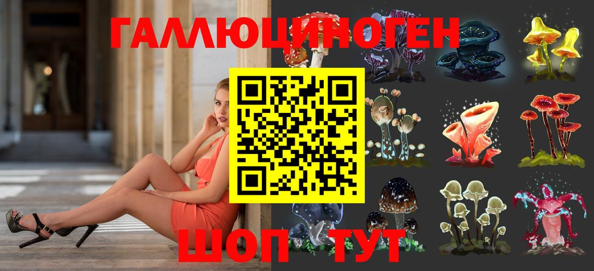 Галлюциногенные грибы Psilocybine cubensis  Галлюциногенные грибы мицелий  Сорочинск  Вход с VPN 